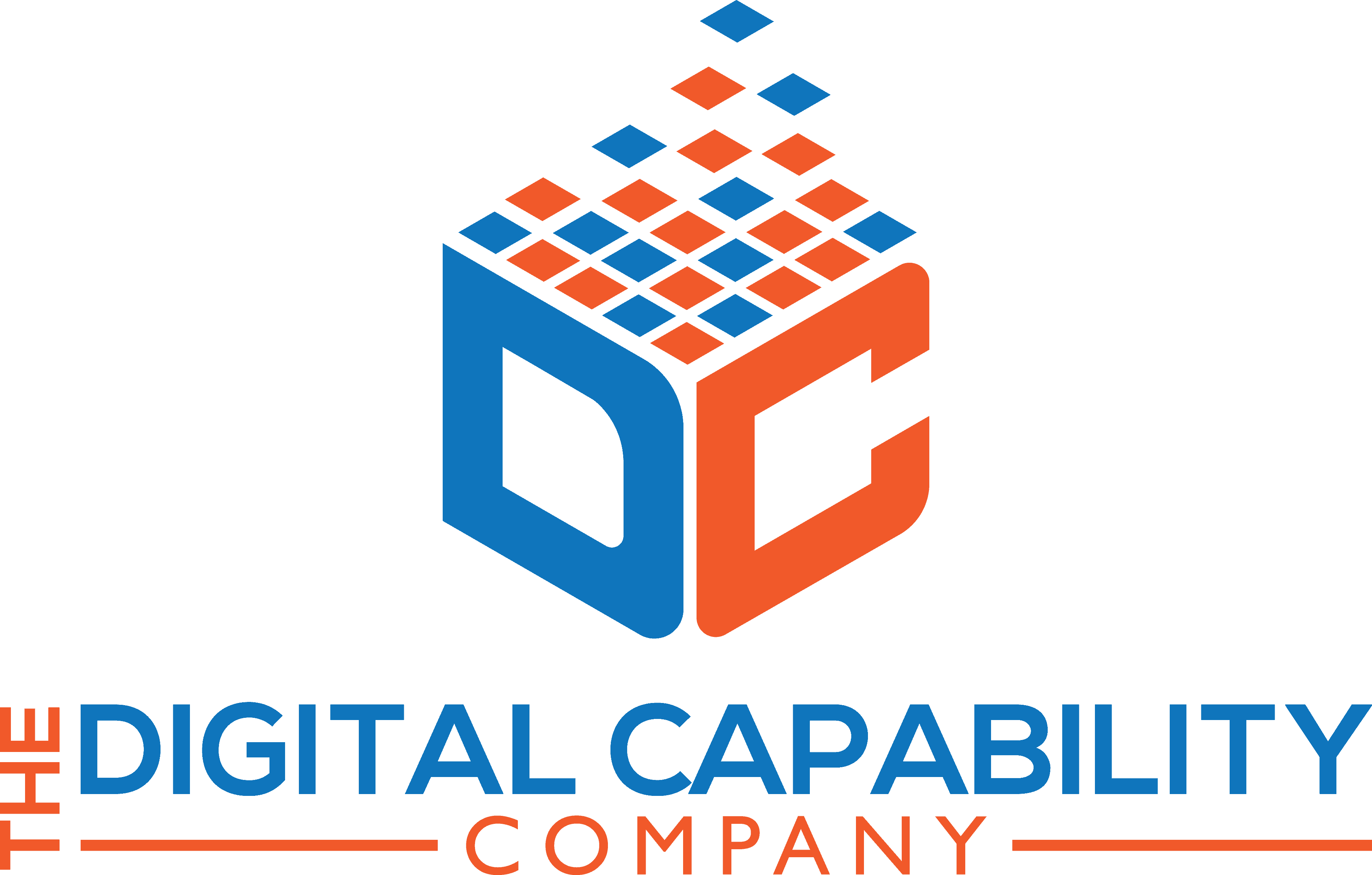 Digital Capability Company logo