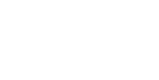 Stella Clevr logo